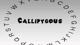 How To Pronounce Callipygous 