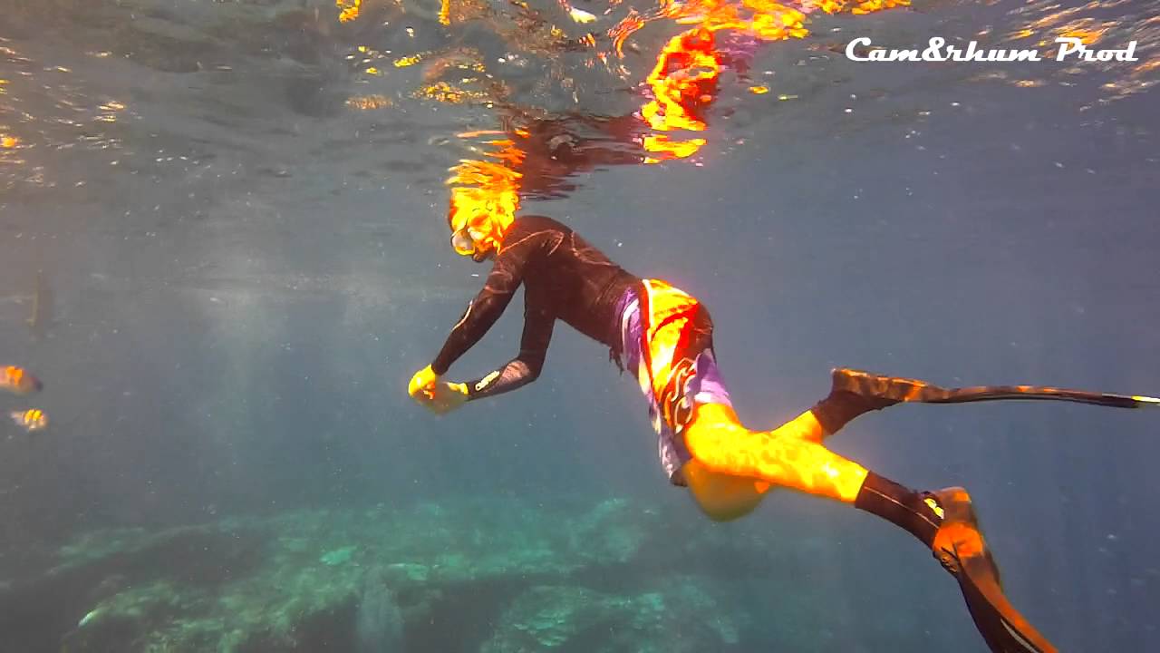 N4/GDP/ANMP/épreuves de nages/800m/apnée/mannequin/plongée