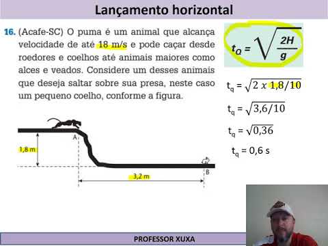 o puma é um animal que alcança