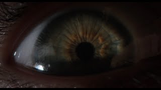 2013 720p BluRay x264 YIFY