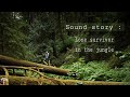   lone survivor in the jungle  storytelling using only sound effects