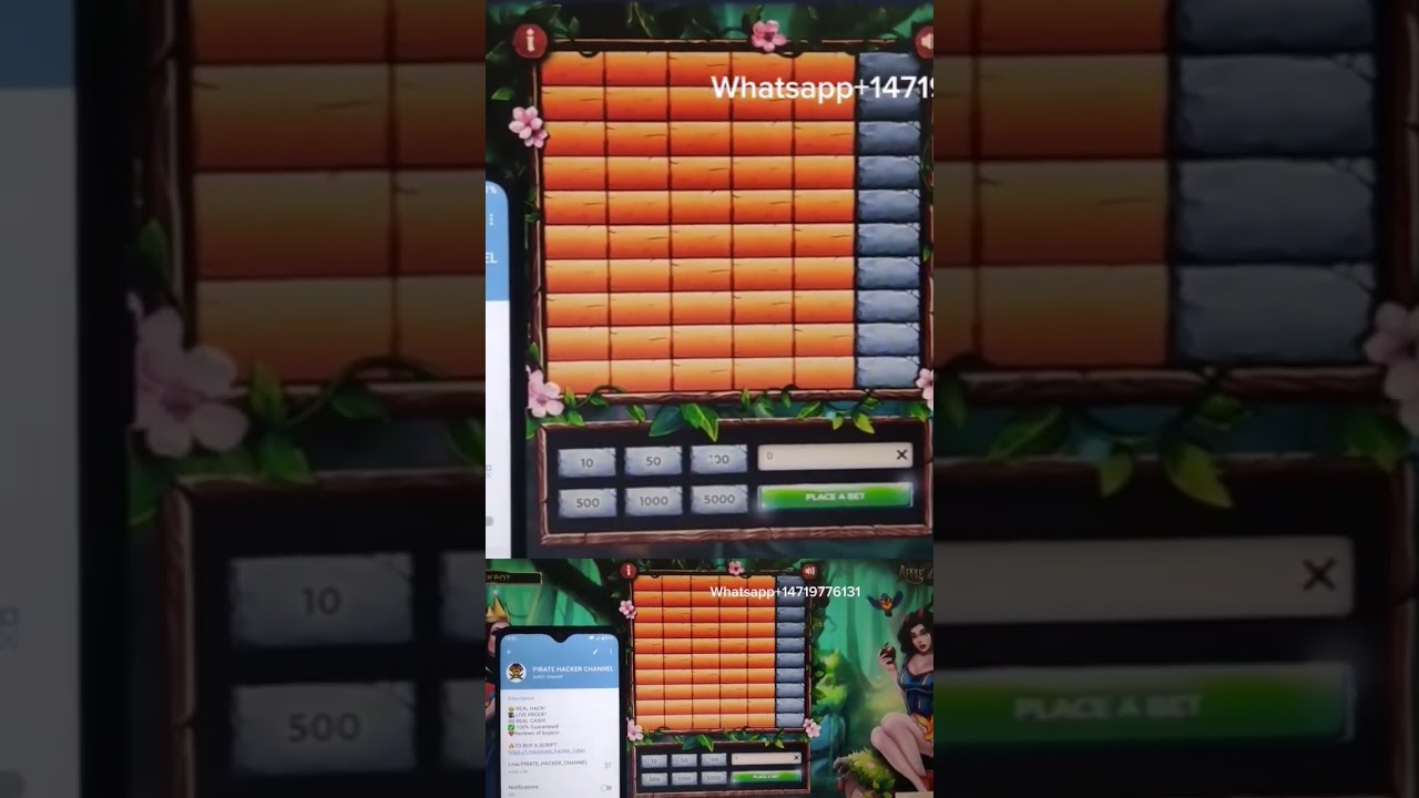 clue slot machine las vegas Apple of fortune 1xbet game script hack 2024