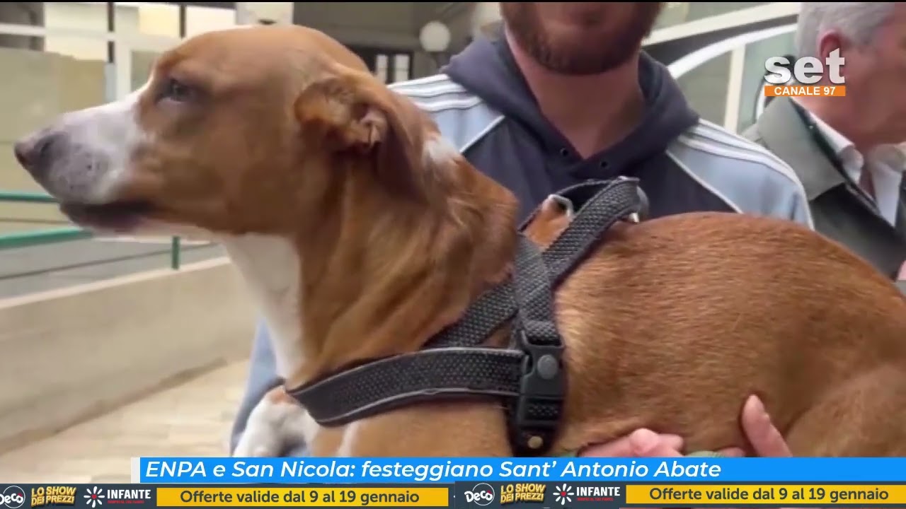 ENPA e San Nicola: festeggiano Sant'Antonio Abate