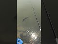 I was surprised to go fishing with a small ticket 30