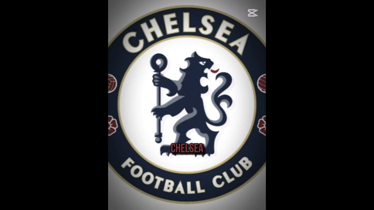 the best team in the world