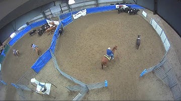 Big Sky Ranch Sorting Saddle Series Finals - #3 - Round #1 - Ride #8