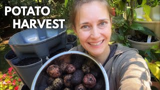 Growing Potatoes in a Greenstalk - Harvest Time!