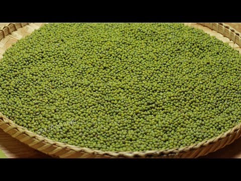 Video Cách làm Giá Đỗ rau mầm sạch cho người phải đi làm cả... - youtube