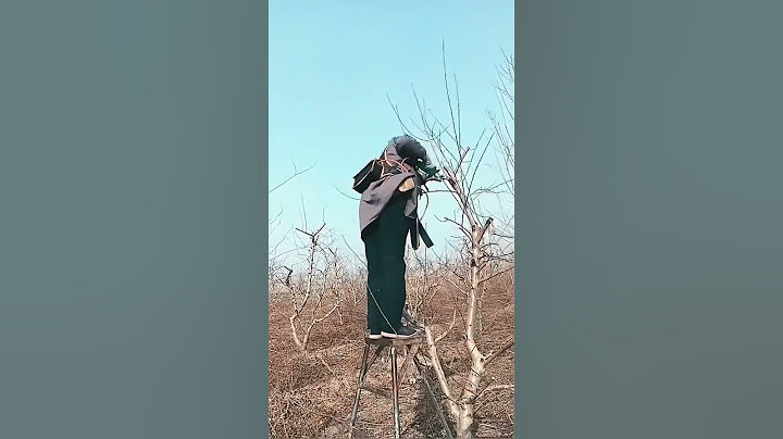 你瞅啥 831
