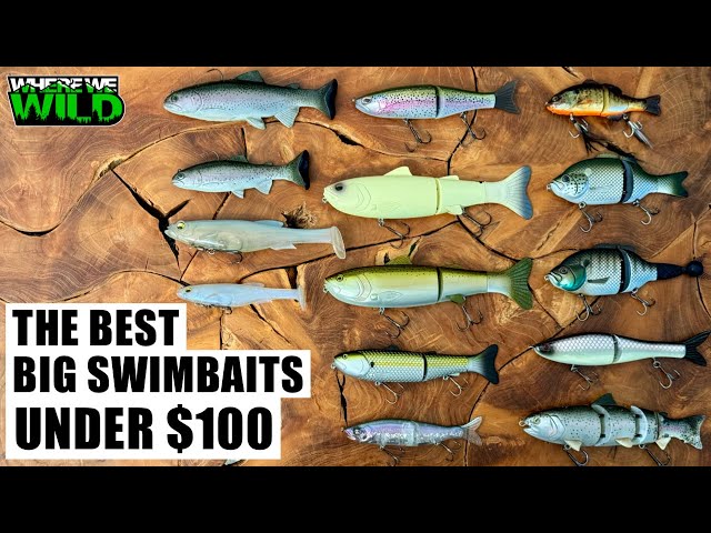 I can't seem to catch anything using large swimbaits. What am I doing  wrong? : r/FishingForBeginners