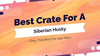 Best Dog Crate For A Husky