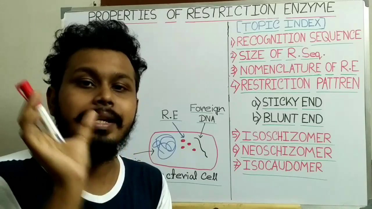 restriction enzyme recognition sites are palindromic restriction enzyme recognition sites are palindromic