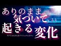 【ネドじゅんさん】ありのまま「気づいている」で起こる変化| クリシュナムルティ「ただ見る」