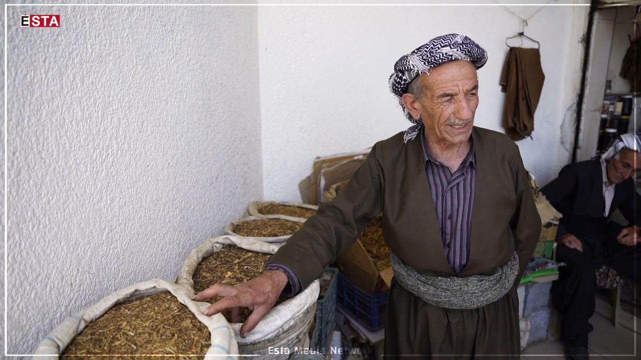 75 ساڵ لەناو توتن و جۆرەکانیدا.