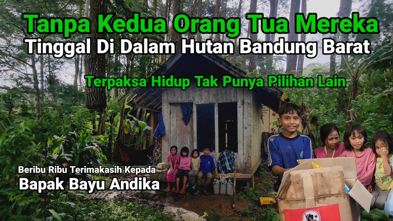 Hampir Tak Percaya Tanpa Kedua Orang Tua Tinggal Di Dalam Hutan
