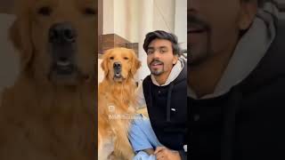 #dogs #love #hearttouching #fannymoments#fan#cute
