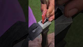 How To Hang A Hammer Handle With Diagonal Wedge | Cheney No.777 #Satisfying #Craftsmanship