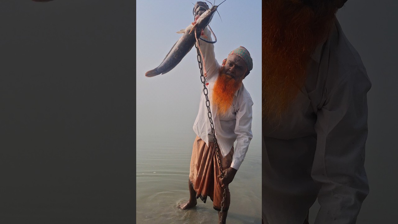 Catfish Bait Shark Fishing Techniques in River Monster 