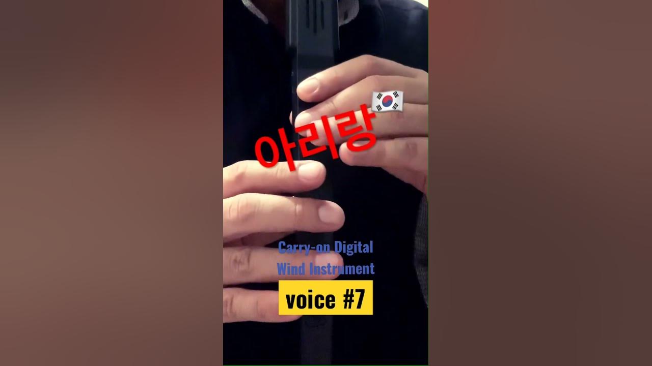 “아리랑”(Arirang ~ Korean folk song) #CarryOnDigitalWindInstrument