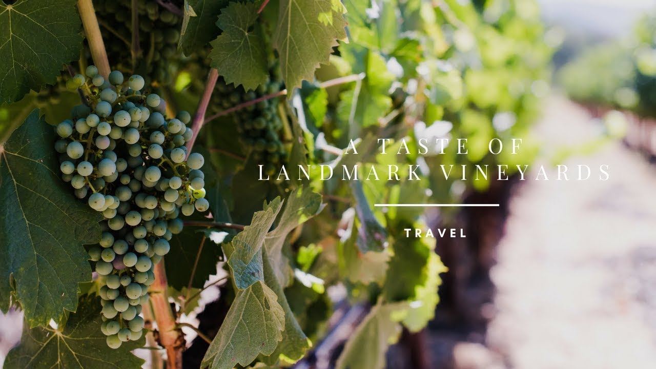 A Taste of Landmark Vineyards | Kitchen Confidante