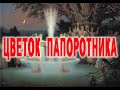 Когда ЦВЕТЕТ ПАПОРОТНИК - Ивано Купало | Виктор Максименков