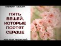 37. Пять вещей, которые портят сердце || Абу Яхья Крымский