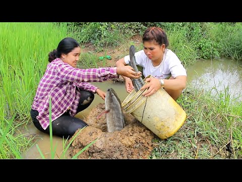 Video: Fysisk-kemisk Kvalitet Af Vand Og Sundhedsmæssige Risici Forbundet Med Forbrug Af Afrikansk Lungefisk (Protopterus Annectens) Fra Floder Nyabarongo Og Nyabugogo, Rwanda