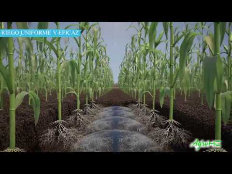 Riego Inteligente (AgroHC)