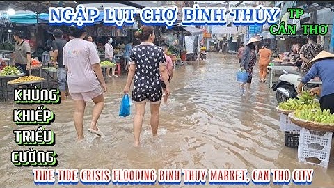 KHỦNG KHIẾP TRIỀU CƯỜNG LÊN NGẬP LỤT CHỢ BÌNH THỦY TP CẦN THƠ | Giải Trí Miền Tây