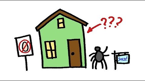 2025 YouTube Conlang Relay – Leg 3 – Sdefa