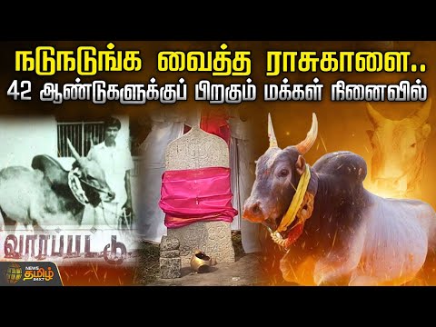 நடுநடுங்க வைத்த ராசுகாளை..42 ஆண்டுகளுக்குப் பிறகும் மக்கள் நினைவில் | RasuKaalai | Manjuvirattu