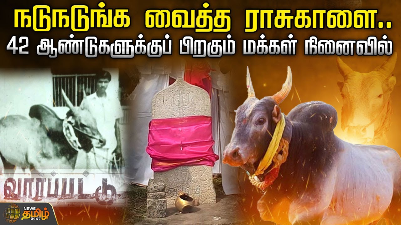 நடுநடுங்க வைத்த ராசுகாளை..42 ஆண்டுகளுக்குப் பிறகும் மக்கள் நினைவில் | RasuKaalai | Manjuvirattu