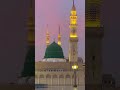 mein to malik hi kahunga ke ho malik ke habit#muhmmadﷺ #allah #yarasoolallah #yarasoolallahﷺ
