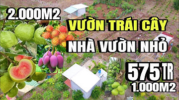 Anh hùng kẹt tiền bán gấp, vườn trái cây, có nhà nhỏ, cẩm mỹ đồng Nai