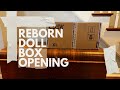 Reborn doll box opening  nursery updates reborn rebornbaby rebornboxopening