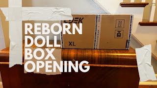 Reborn Doll Box Opening | Nursery Updates #reborn #rebornbaby #rebornboxopening