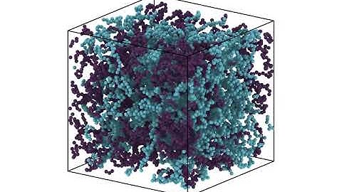 Polymer Blend of  two linear polymer species