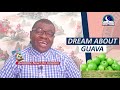 DREAM ABOUT GUAVA FRUIT - Biblical Meaning Of Fruit In Dreams