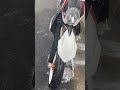 #cleannnn #KTM