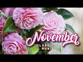 November Classical Music 