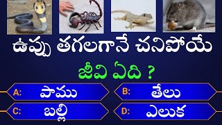 Interesting Questions In Telugu || Episode-55 || gk || by Anji XYZ || Unknown Facts || Telugu Quiz