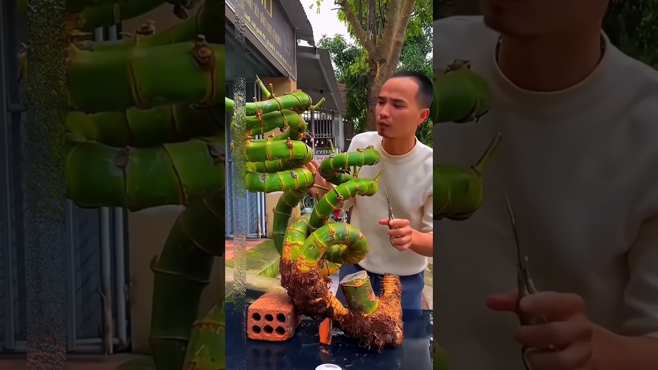 #starseverywherefypシ゚viralシypシ゚viralシhtag