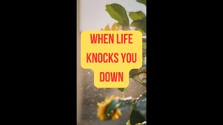 Setbacks to Success: Embracing Your Comeback Story