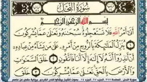 سورة النحل مكتوبةبصوت القارئ بيشةوا قادر الكردي 