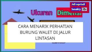 TRIK MENARIK PERHATIAN BURUNG WALET DI DAERAH LINTASAN