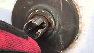 Rex Tool