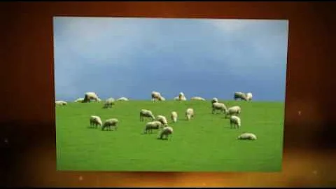 Judge Not, Lest Ye Be Judged