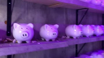 BREAKING BARRIERS/ WIRED + ADP