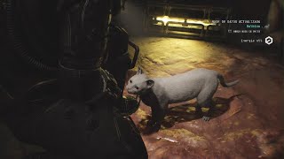 Cronos: The New Dawn - Cat Balbina