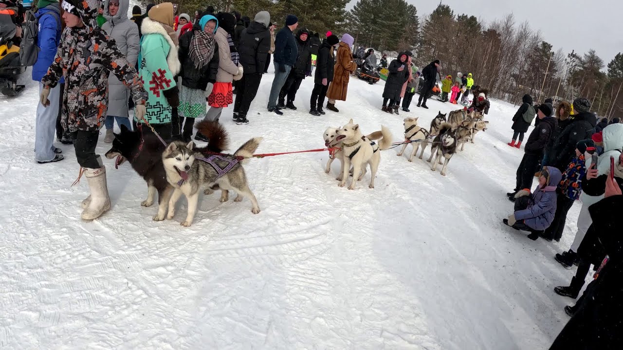 В деревню на прадо, расход топлива, день оленевода. - YouTube